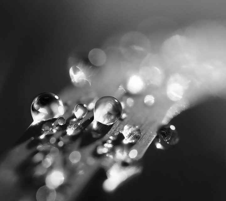 Dermadore - Inhaltsstoffe - B-Vitamine für den Stoffwechsel